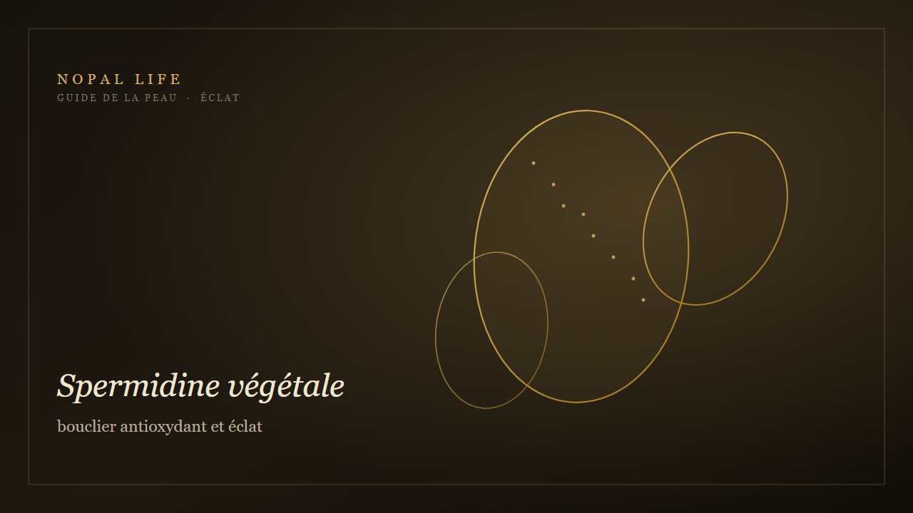 Spermidine végétale : bouclier antioxydant et éclat