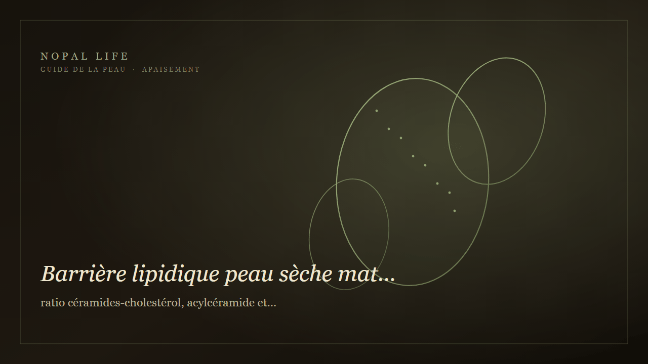 Barrière lipidique peau sèche mature : ratio céramides-cholestérol, acylcéramide et protocole éclat - Nopal Life