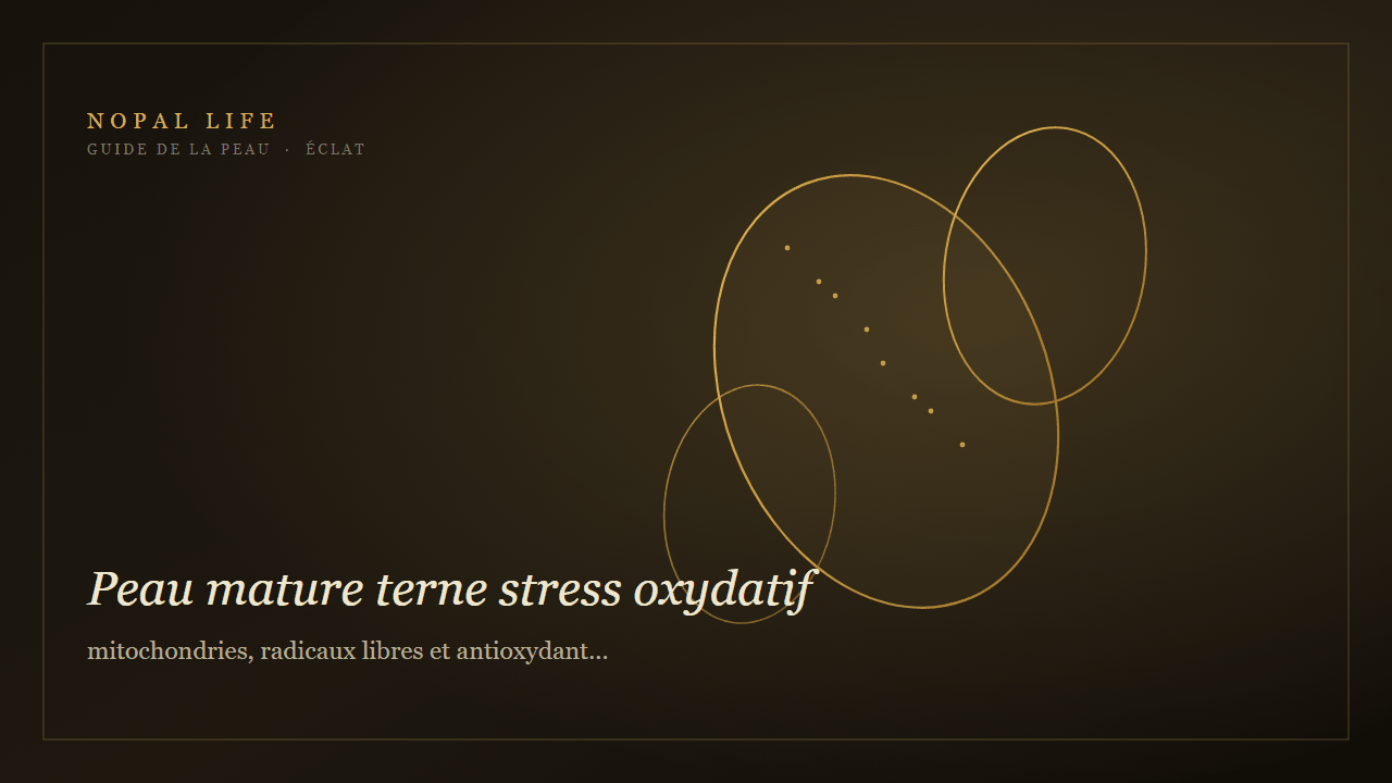 Peau mature terne stress oxydatif : mitochondries, radicaux libres et antioxydants topiques pour l'éclat - Nopal Life