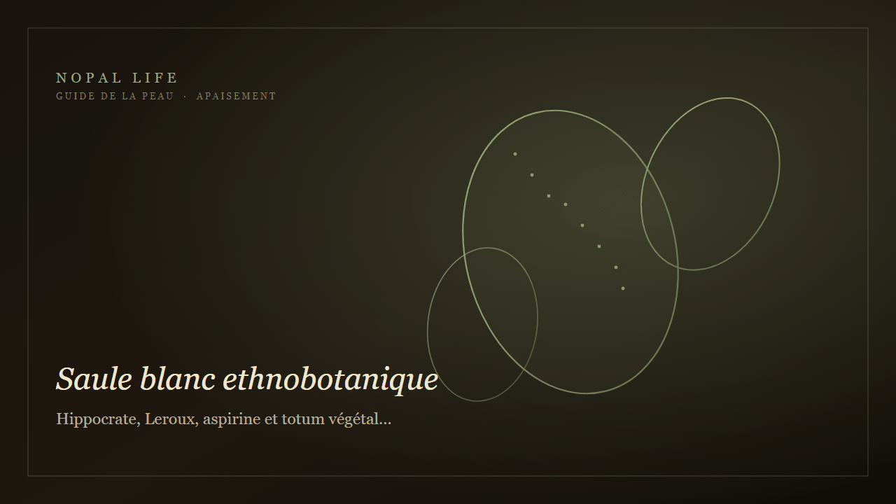 Saule blanc ethnobotanique : Hippocrate, Leroux, aspirine et totum végétal peau déshydratée sensible - Nopal Life