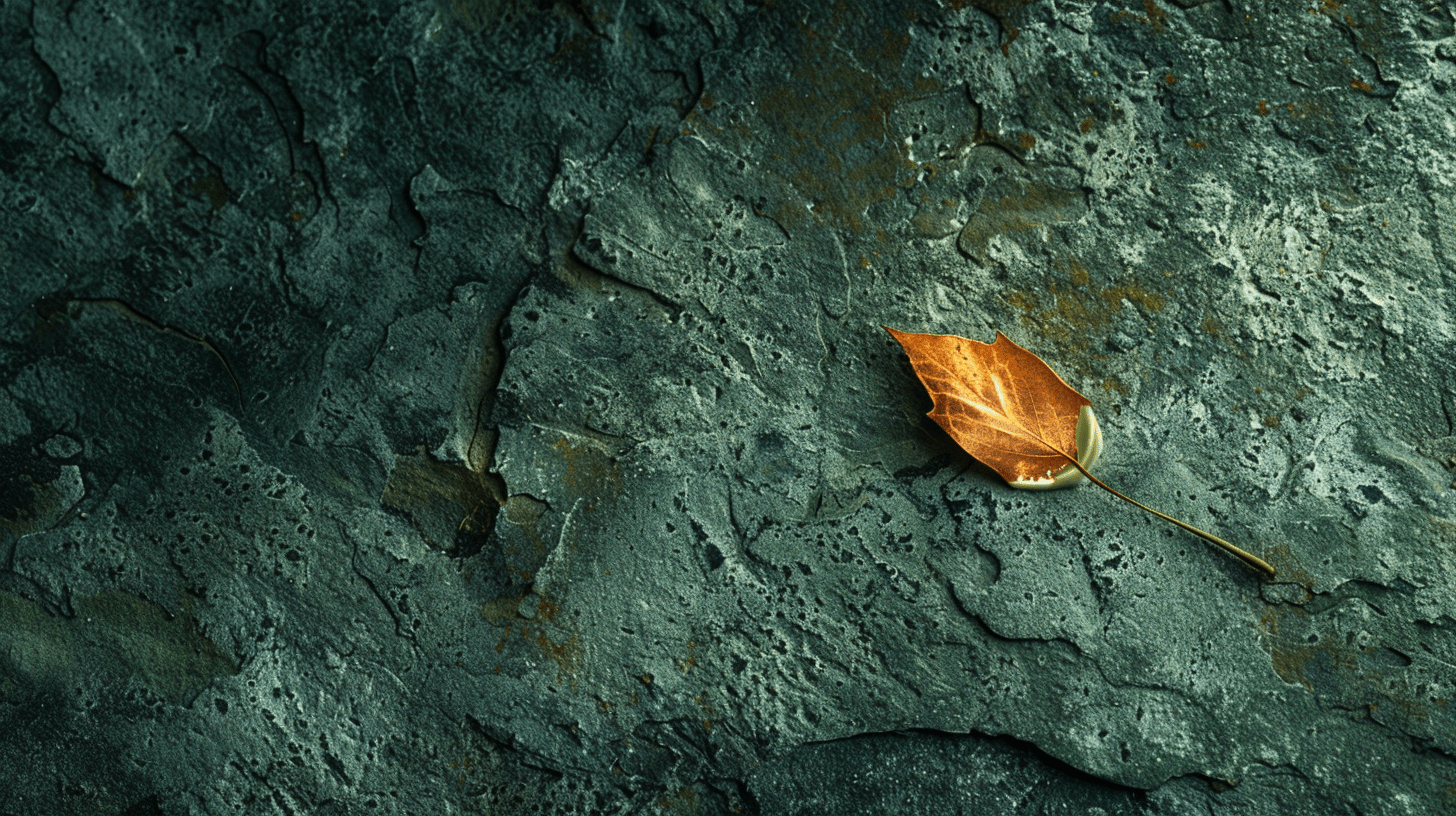 Sérum matin ou soir : que disent les pros de la peau - Nopal Life