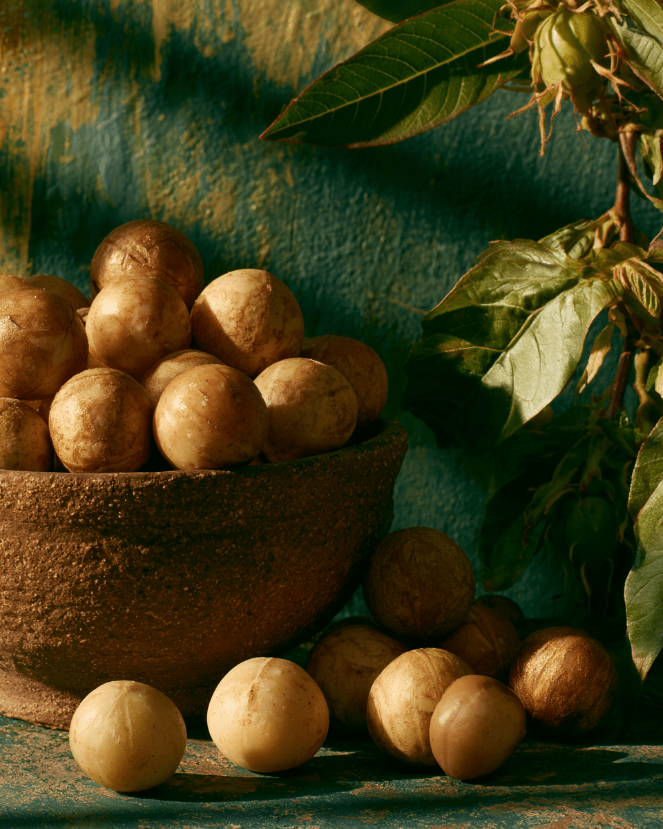 Soin du corps : le guide pour une peau douce - Nopal Life