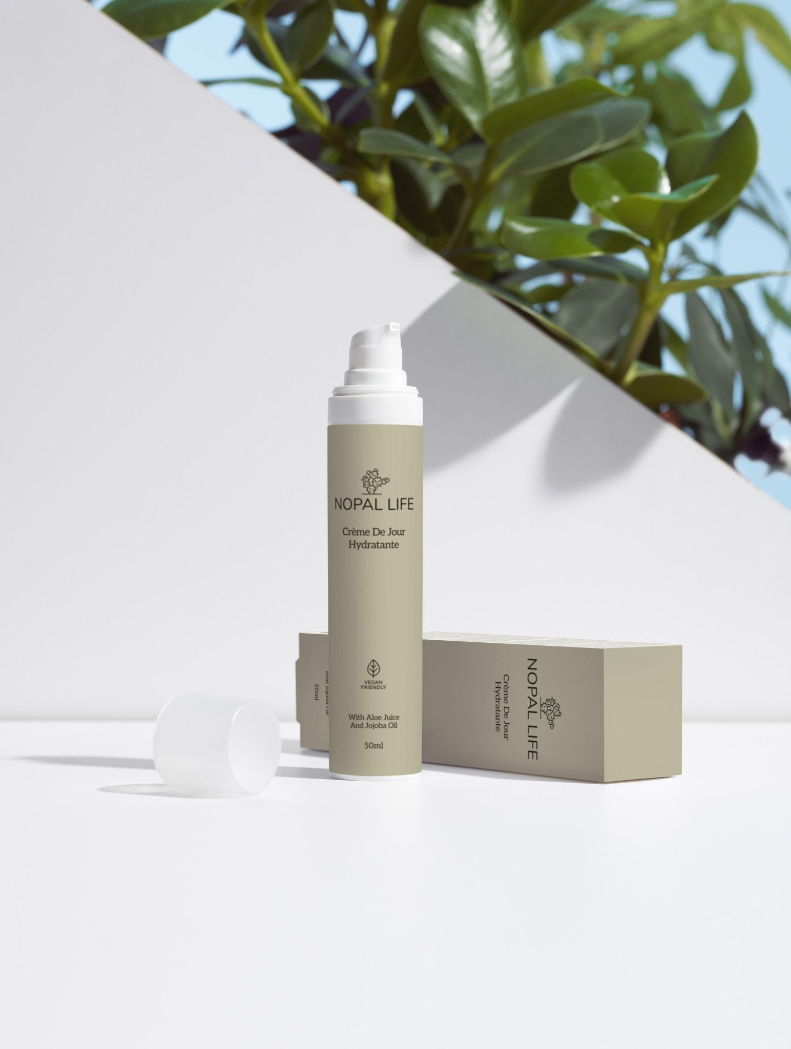 Creme de jour aloe vera peaux sensibles – Lifestyle – Nopal Life