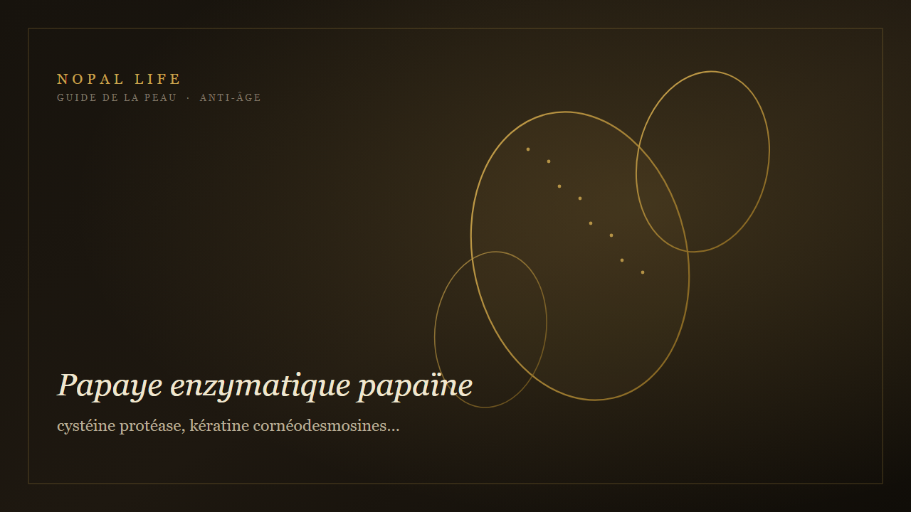 Papaye enzymatique papaïne : cystéine protéase, kératine cornéodesmosines et exfoliation douce peau mature