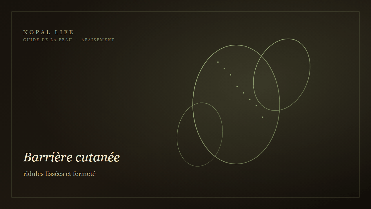 Barrière cutanée : ridules lissées et fermeté - Nopal Life