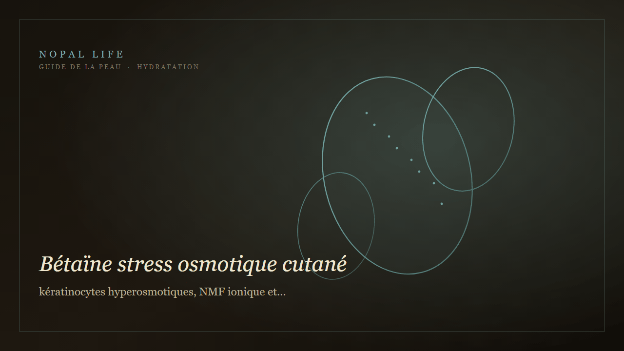 Bétaïne stress osmotique cutané : kératinocytes hyperosmotiques, NMF ionique et conditions extrêmes peau sèche - Nopal Life
