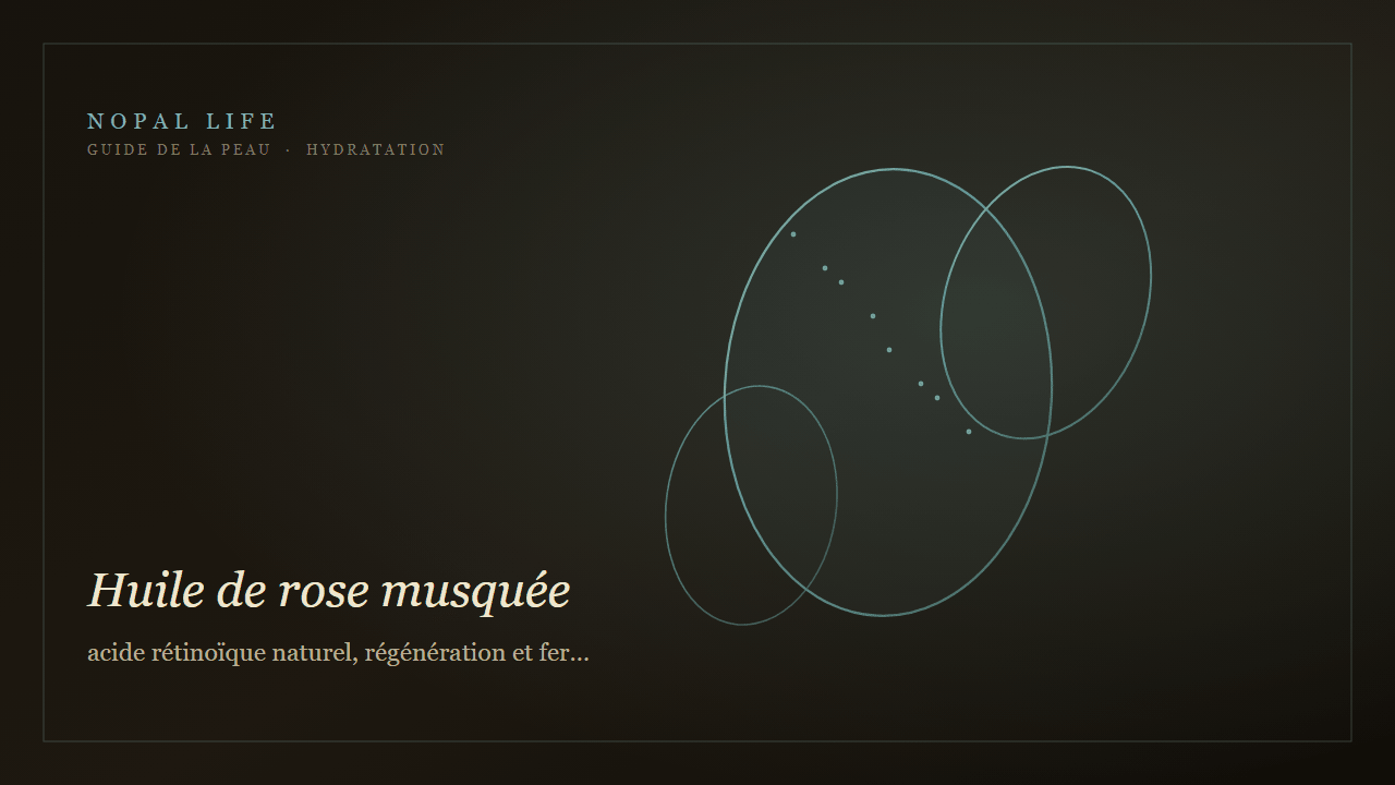 Huile de rose musquée : acide rétinoïque naturel, régénération et fermeté peau sèche mature - Nopal Life