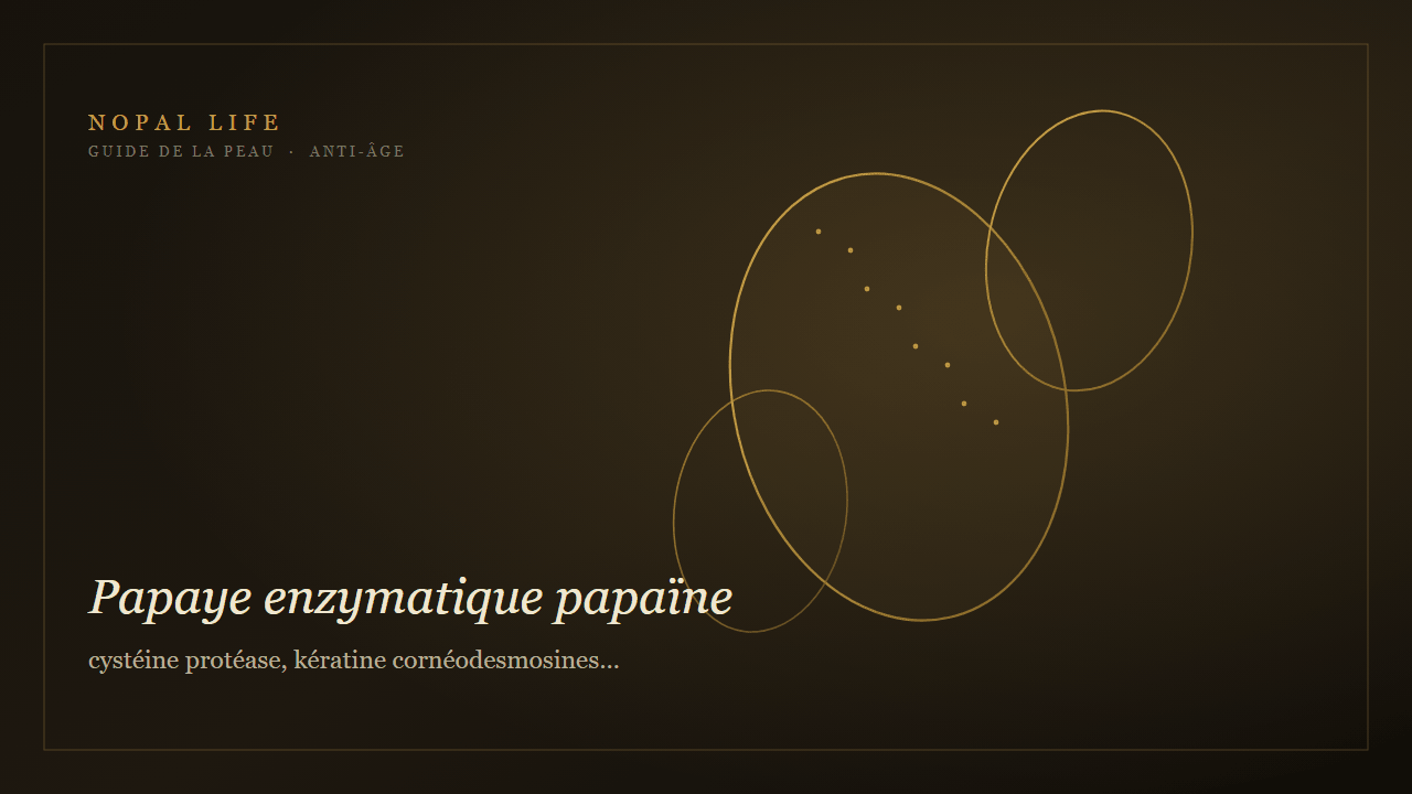 Papaye enzymatique papaïne : cystéine protéase, kératine cornéodesmosines et exfoliation douce peau mature - Nopal Life