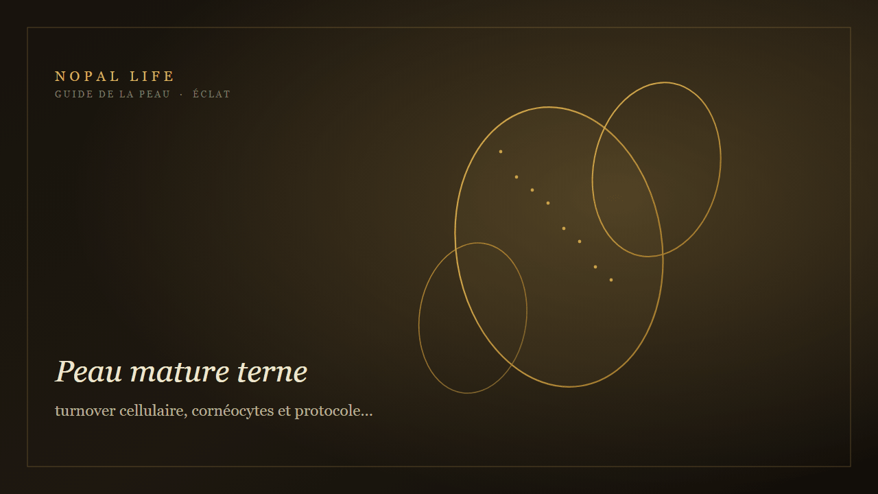 Peau mature terne : turnover cellulaire, cornéocytes et protocole renouvellement éclat - Nopal Life