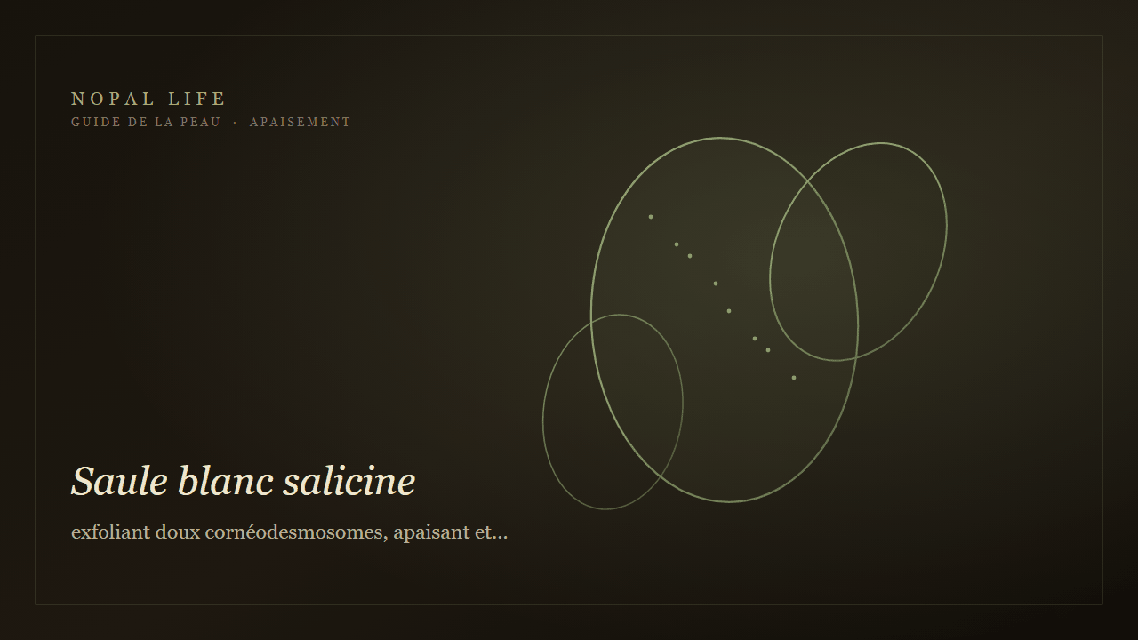 Saule blanc salicine : exfoliant doux cornéodesmosomes, apaisant et peau déshydratée sensible - Nopal Life