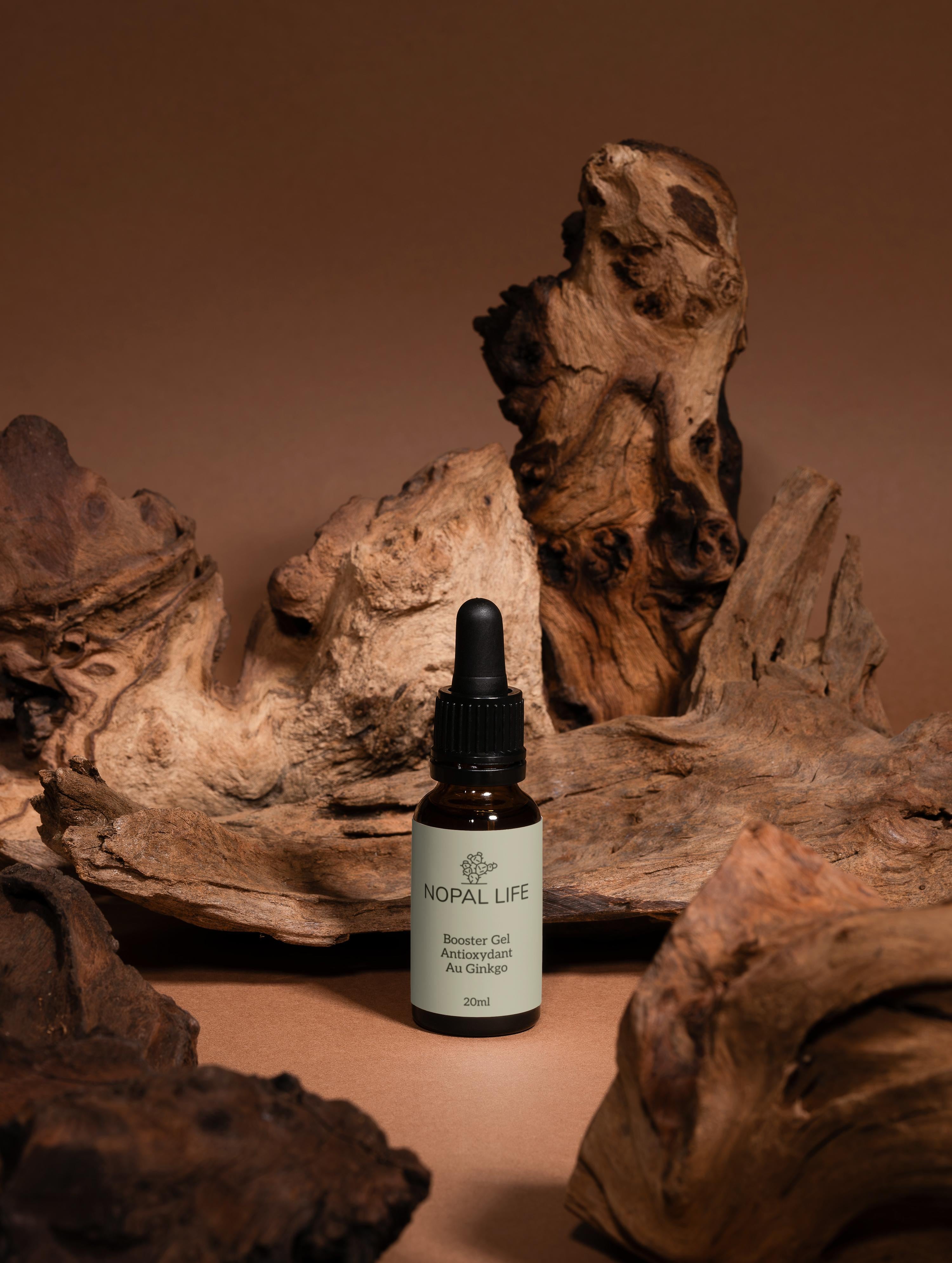 Booster antioxydant au Ginkgo biloba